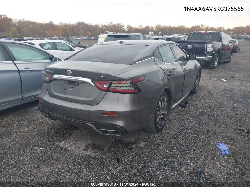 2019 Nissan Maxima 3.5 Sl VIN: 1N4AA6AV5KC375565 Lot: 40749810