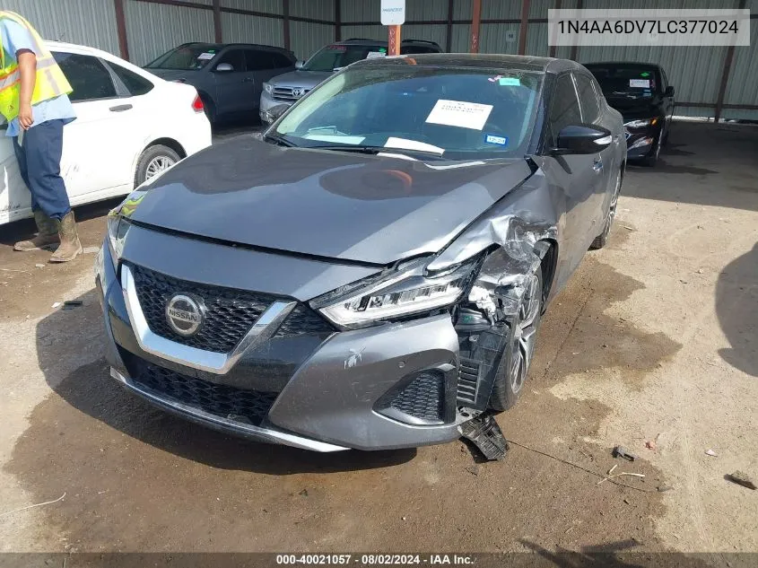 2020 Nissan Maxima Sl Xtronic Cvt VIN: 1N4AA6DV7LC377024 Lot: 40021057