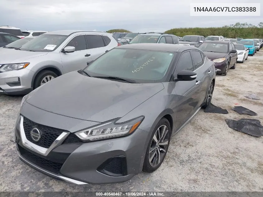 2020 Nissan Maxima Sv VIN: 1N4AA6CV7LC383388 Lot: 40540467