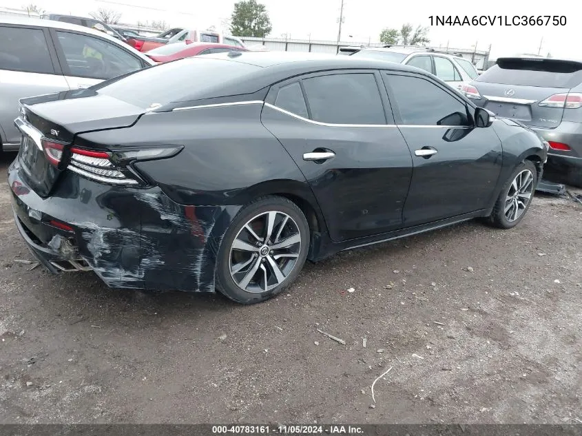 2020 Nissan Maxima Sv Xtronic Cvt VIN: 1N4AA6CV1LC366750 Lot: 40783161