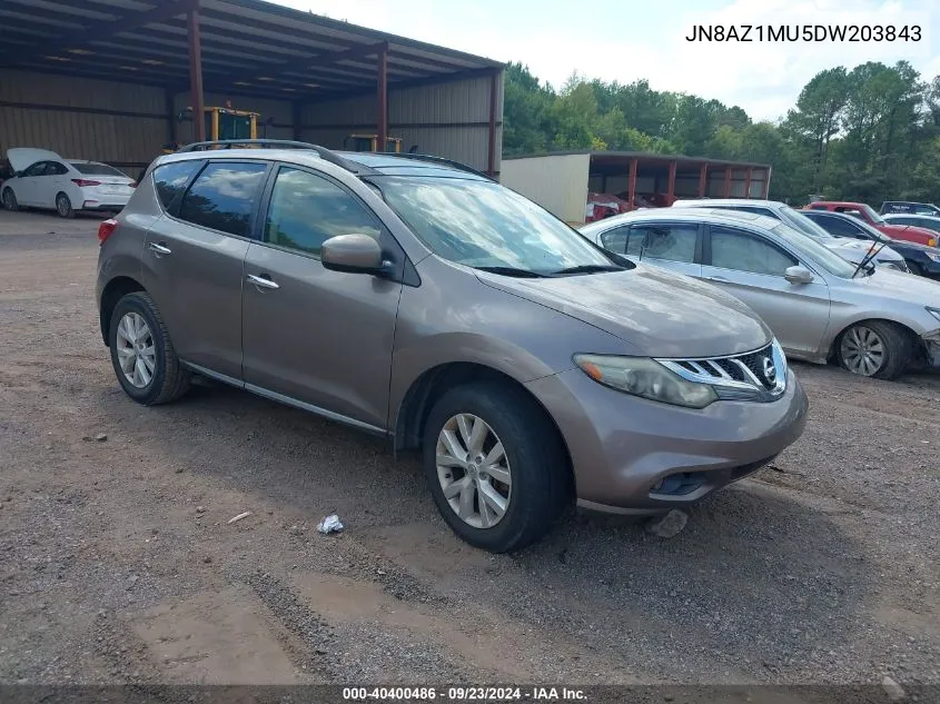 2013 Nissan Murano S/Sl/Le VIN: JN8AZ1MU5DW203843 Lot: 40400486