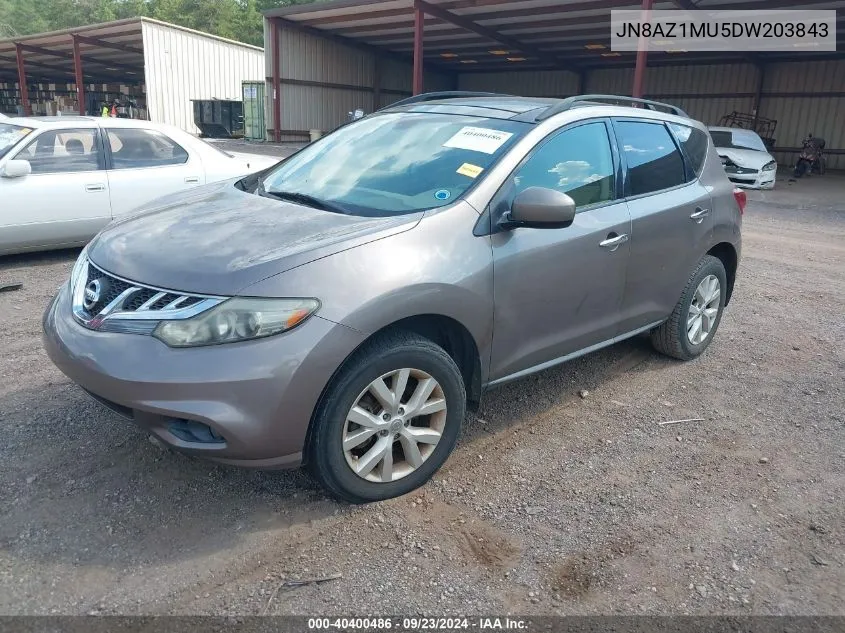 2013 Nissan Murano S/Sl/Le VIN: JN8AZ1MU5DW203843 Lot: 40400486