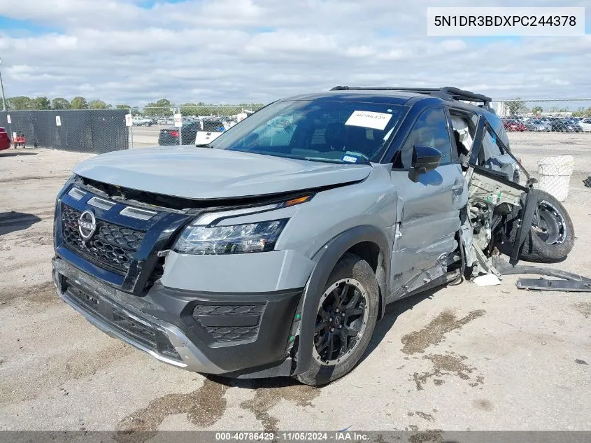 2023 Nissan Pathfinder Rock Creek 4Wd VIN: 5N1DR3BDXPC244378 Lot: 40786429