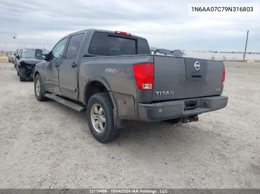 2009 Nissan Titan Xe/Se/Le/Pro-4X VIN: 1N6AA07C79N316803 Lot: 12116499