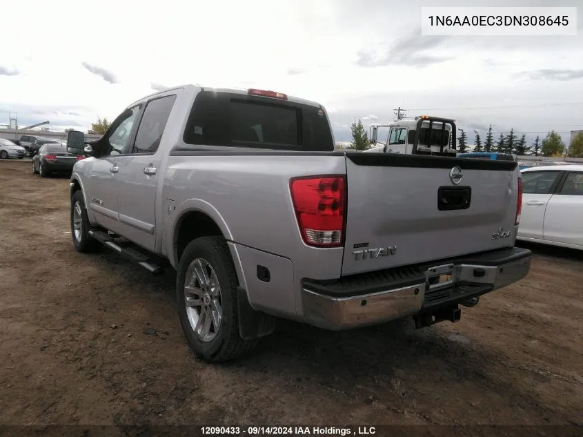 2013 Nissan Titan S/Sv/Sl/Pro-4X VIN: 1N6AA0EC3DN308645 Lot: 12090433