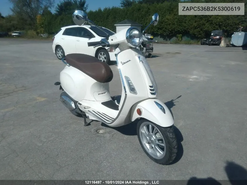 2019 Piaggio VIN: ZAPC536B2K5300619 Lot: 12116497