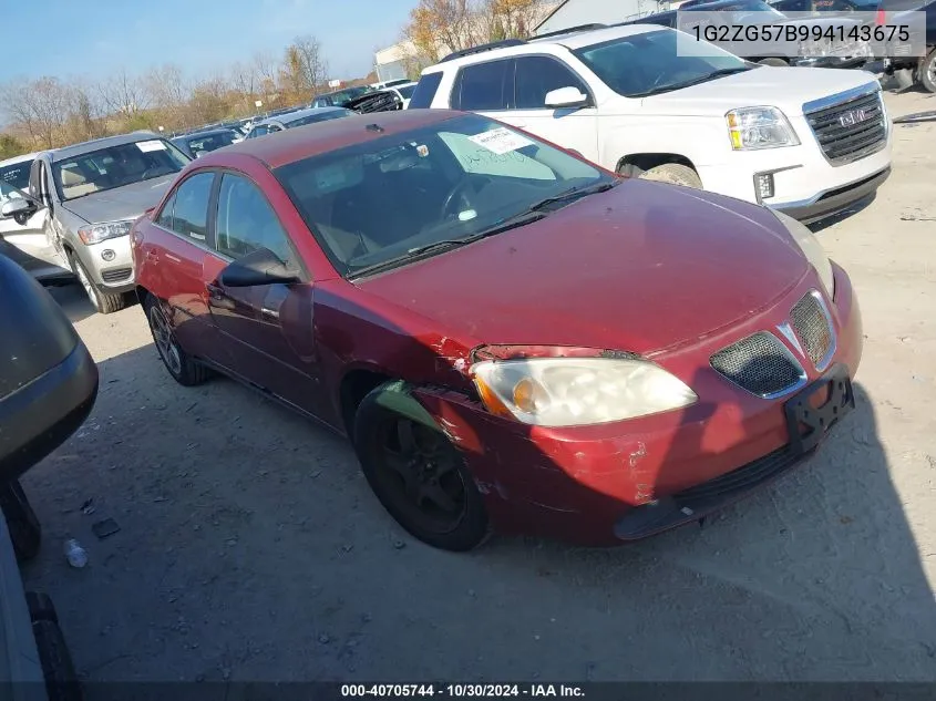 2009 Pontiac G6 VIN: 1G2ZG57B994143675 Lot: 40705744