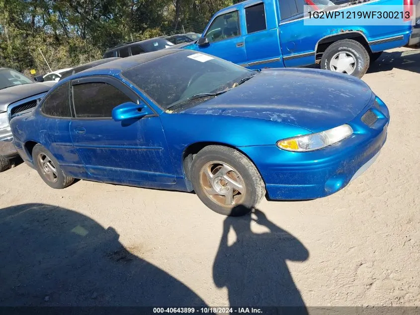 1998 Pontiac Grand Prix Gt VIN: 1G2WP1219WF300213 Lot: 40643899