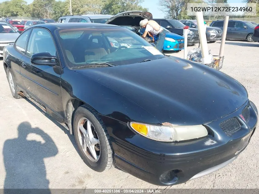 2002 Pontiac Grand Prix Gt VIN: 1G2WP12K72F234960 Lot: 40251386