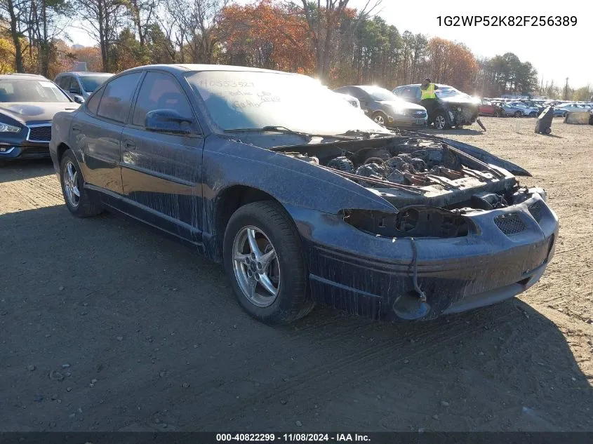 2002 Pontiac Grand Prix Gt VIN: 1G2WP52K82F256389 Lot: 40822299