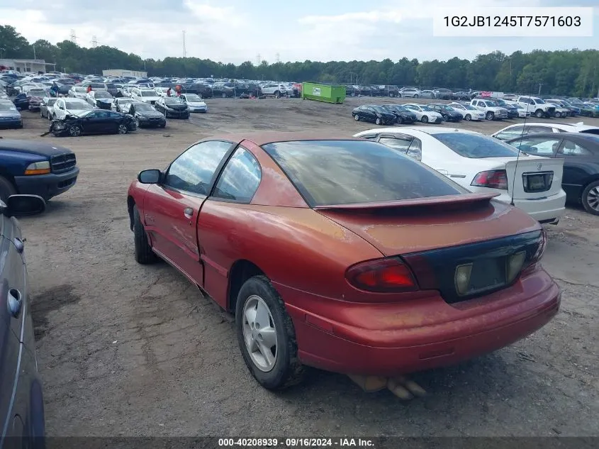 1996 Pontiac Sunfire Se VIN: 1G2JB1245T7571603 Lot: 40208939