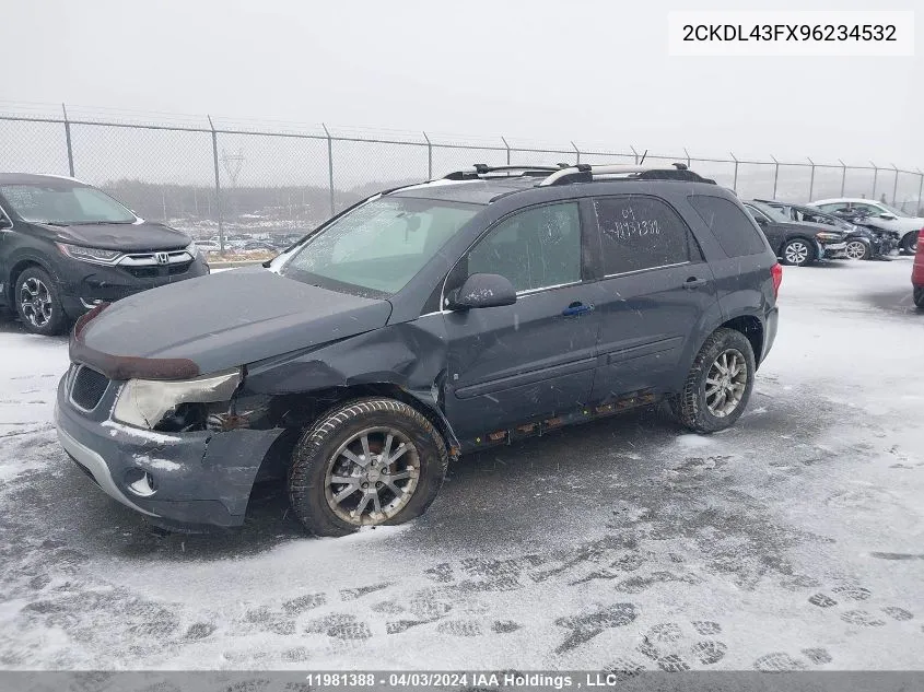 2009 Pontiac Torrent VIN: 2CKDL43FX96234532 Lot: 11981388