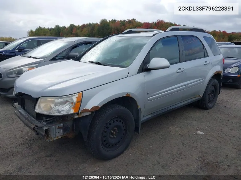 2009 Pontiac Torrent VIN: 2CKDL33F796228391 Lot: 12126364