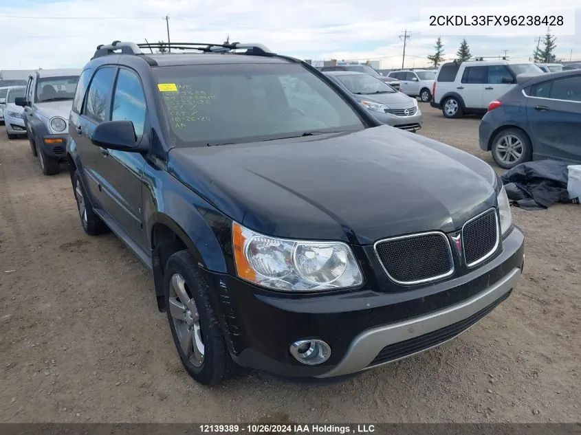 2009 Pontiac Torrent VIN: 2CKDL33FX96238428 Lot: 12139389