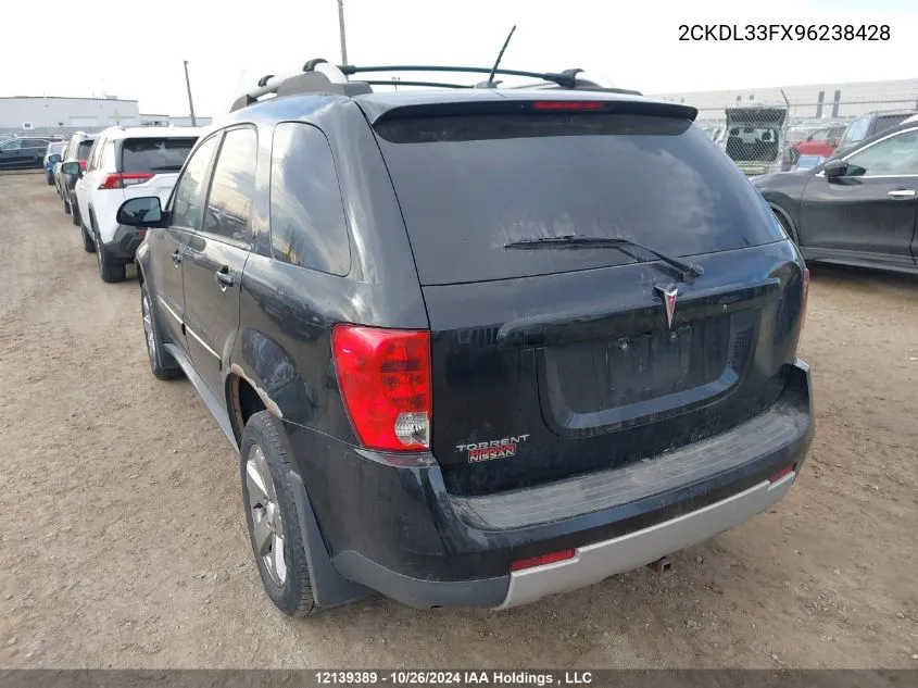 2009 Pontiac Torrent VIN: 2CKDL33FX96238428 Lot: 12139389