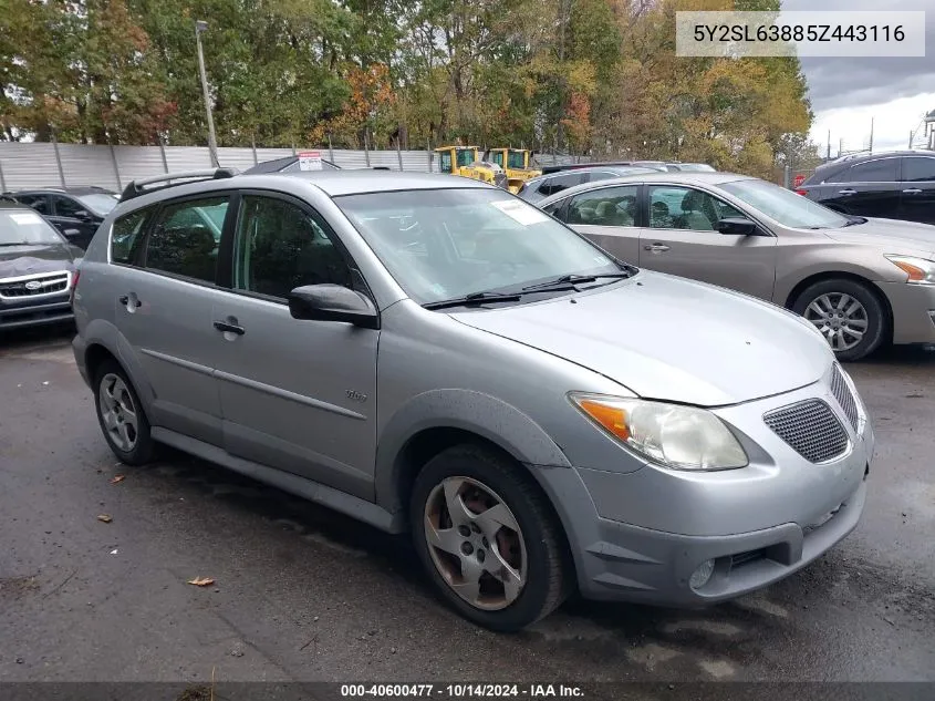 2005 Pontiac Vibe VIN: 5Y2SL63885Z443116 Lot: 40600477