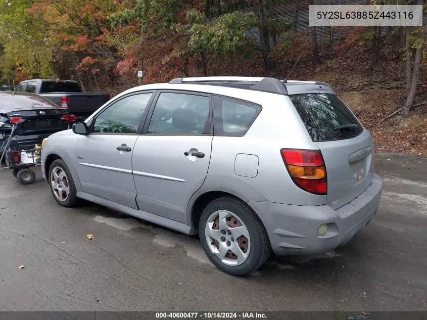 2005 Pontiac Vibe VIN: 5Y2SL63885Z443116 Lot: 40600477