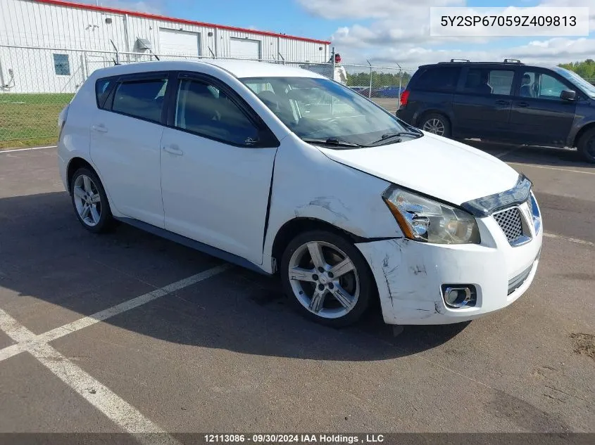 2009 Pontiac Vibe VIN: 5Y2SP67059Z409813 Lot: 12113086