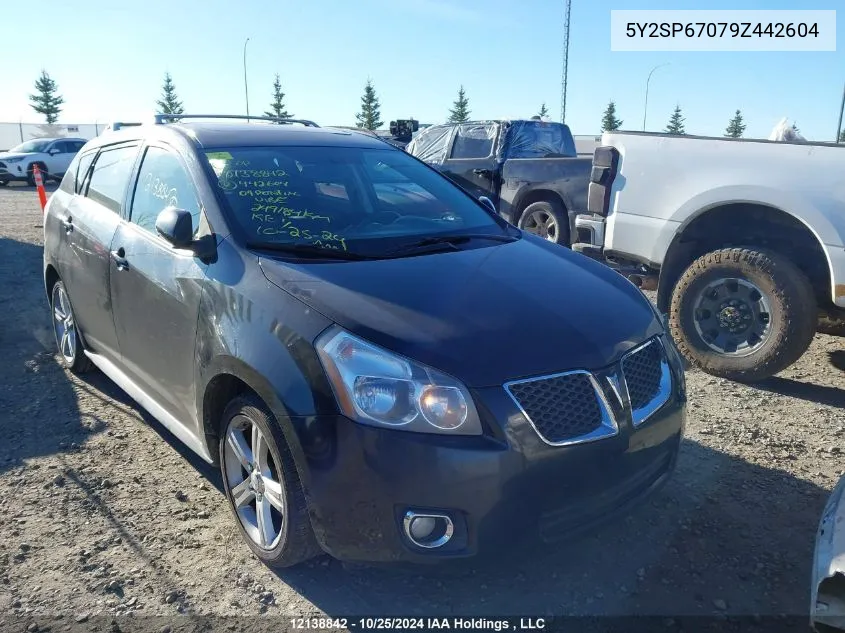 2009 Pontiac Vibe VIN: 5Y2SP67079Z442604 Lot: 12138842