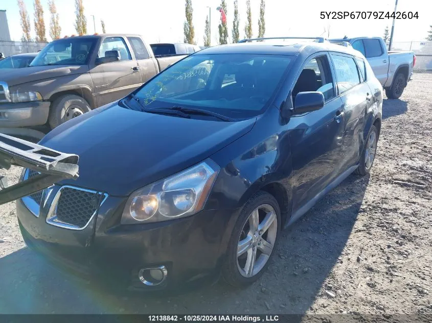 2009 Pontiac Vibe VIN: 5Y2SP67079Z442604 Lot: 12138842