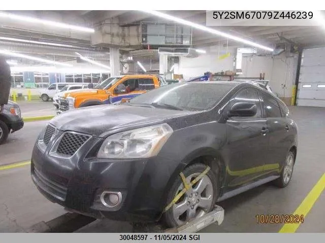 2009 Pontiac Vibe VIN: 5Y2SM67079Z446239 Lot: 30048597