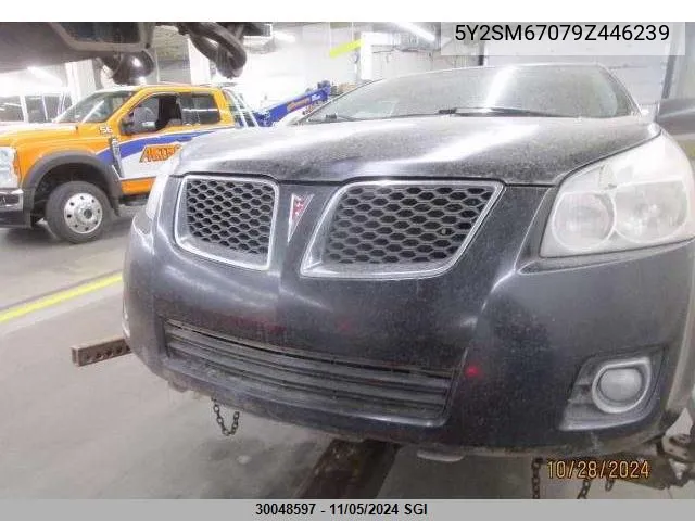 2009 Pontiac Vibe VIN: 5Y2SM67079Z446239 Lot: 30048597