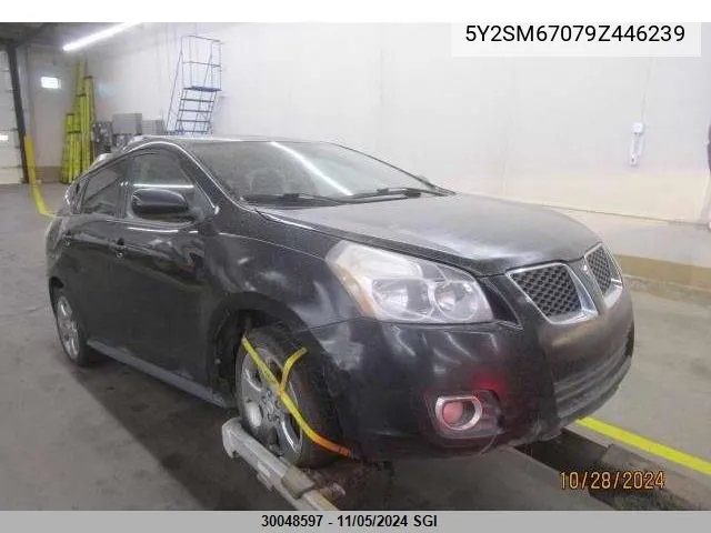 2009 Pontiac Vibe VIN: 5Y2SM67079Z446239 Lot: 30048597