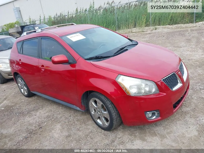 2009 Pontiac Vibe VIN: 5Y2SM67039Z404442 Lot: 40243463