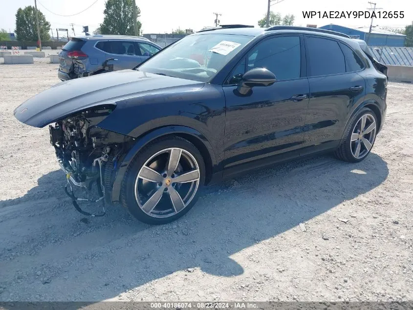 WP1AE2AY9PDA12655 2023 Porsche Cayenne E-Hybrid Platinum Edition