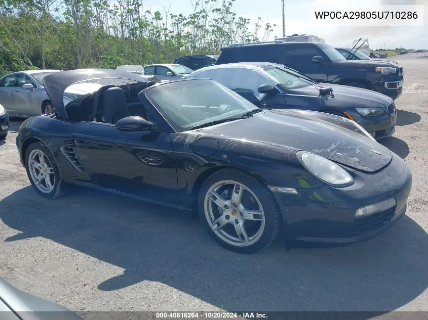 2005 Porsche Boxster VIN: WP0CA29805U710286 Lot: 40616264