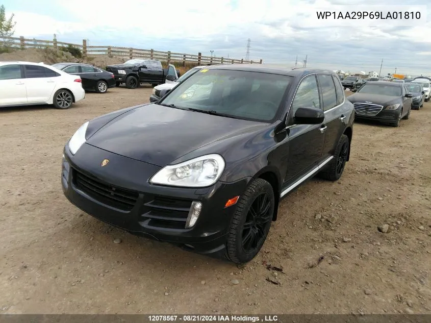 2009 Porsche Cayenne VIN: WP1AA29P69LA01810 Lot: 12078567