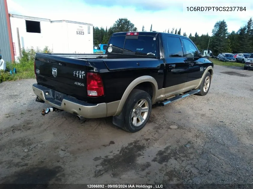 2012 Ram 1500 VIN: 1C6RD7PT9CS237784 Lot: 12086892