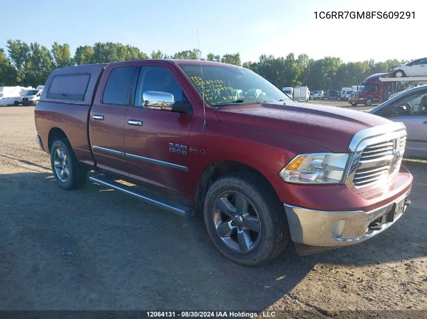 2015 Ram 1500 Slt VIN: 1C6RR7GM8FS609291 Lot: 12064131