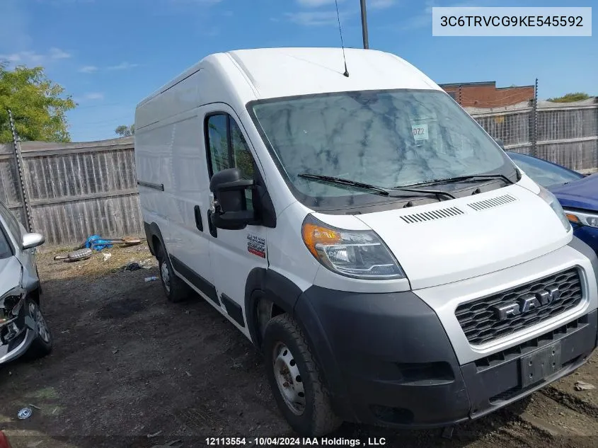 2019 Ram Promaster 2500 2500 High VIN: 3C6TRVCG9KE545592 Lot: 12113554