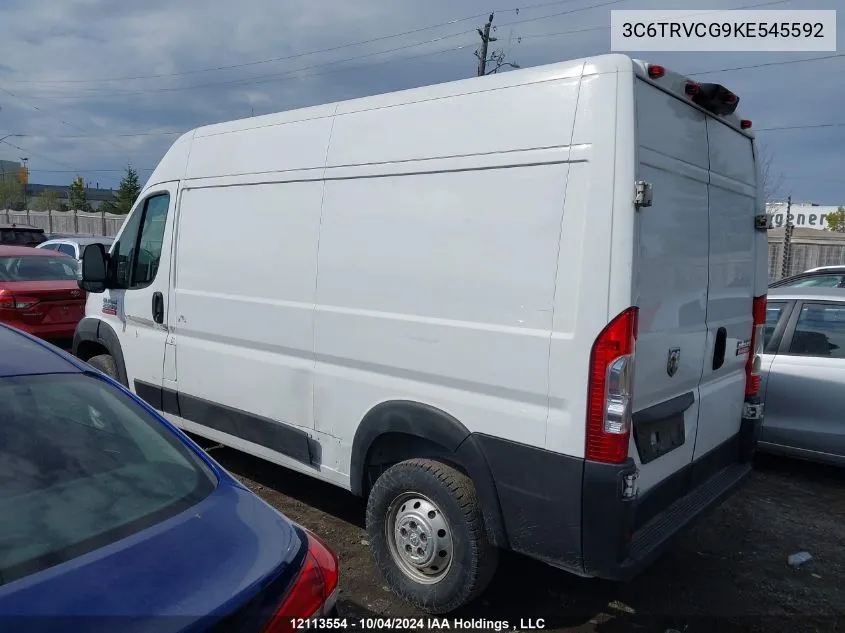 2019 Ram Promaster 2500 2500 High VIN: 3C6TRVCG9KE545592 Lot: 12113554