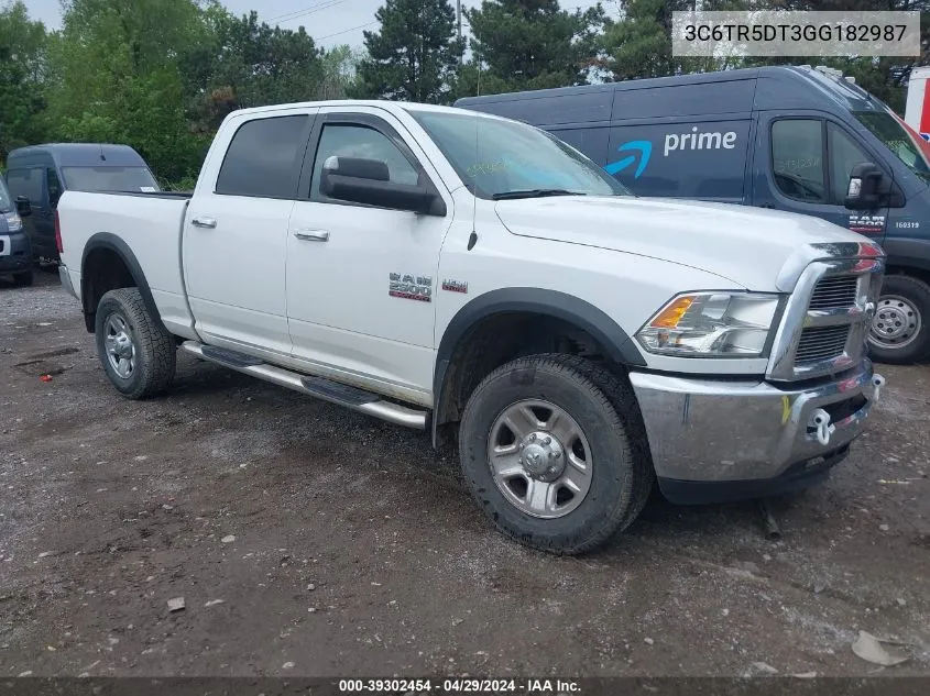 3C6TR5DT3GG182987 2016 Ram 2500 Slt