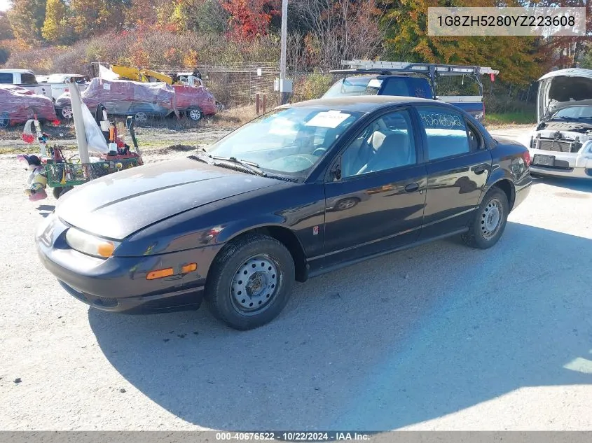 2000 Saturn Sl1 VIN: 1G8ZH5280YZ223608 Lot: 40676522