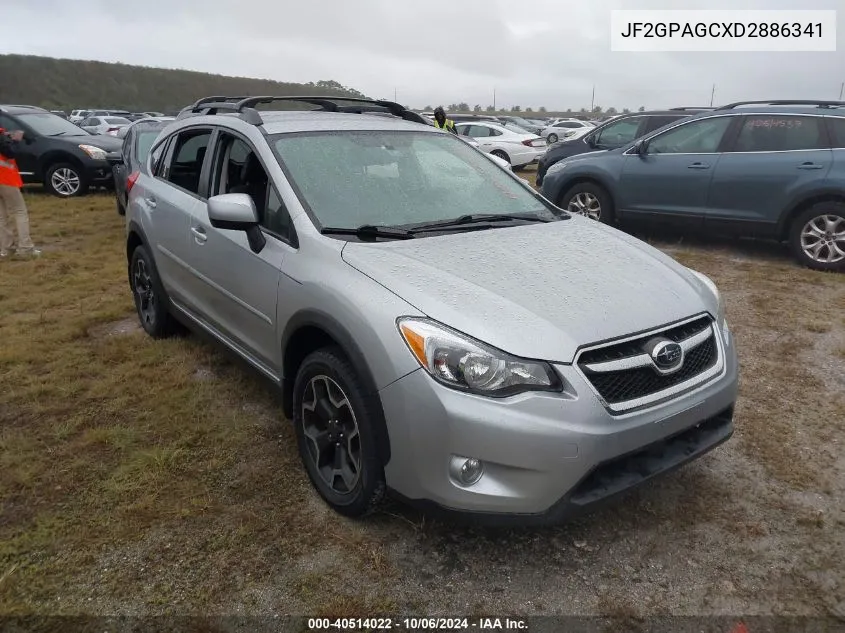 2013 Subaru Xv Crosstrek 2.0 Limited VIN: JF2GPAGCXD2886341 Lot: 40514022