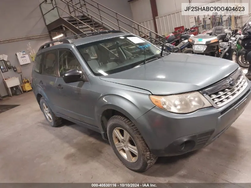 2013 Subaru Forester 2.5X VIN: JF2SHABC9DG404623 Lot: 40530116