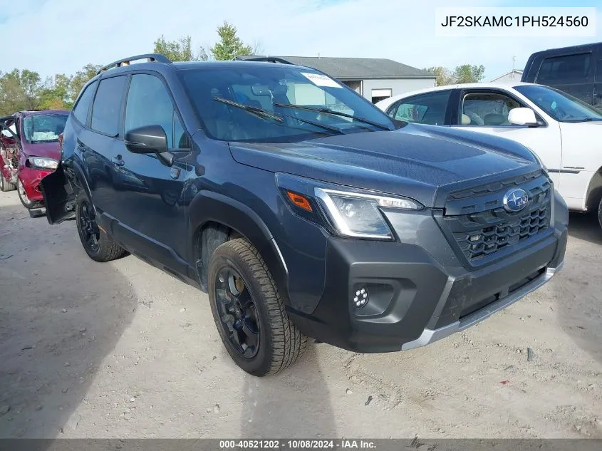 JF2SKAMC1PH524560 2023 Subaru Forester Wilderness