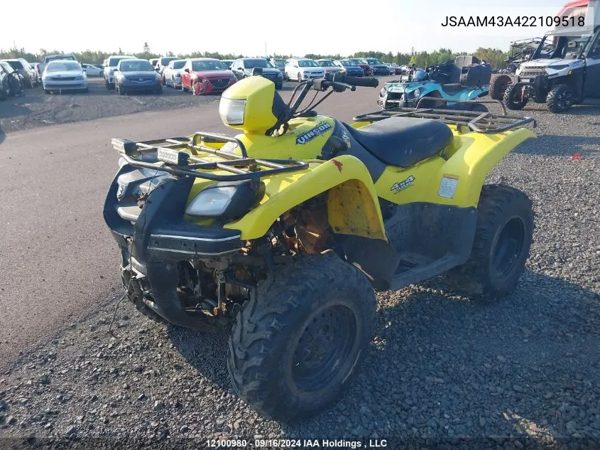 JSAAM43A422109518 2002 Suzuki Lt-A500 F