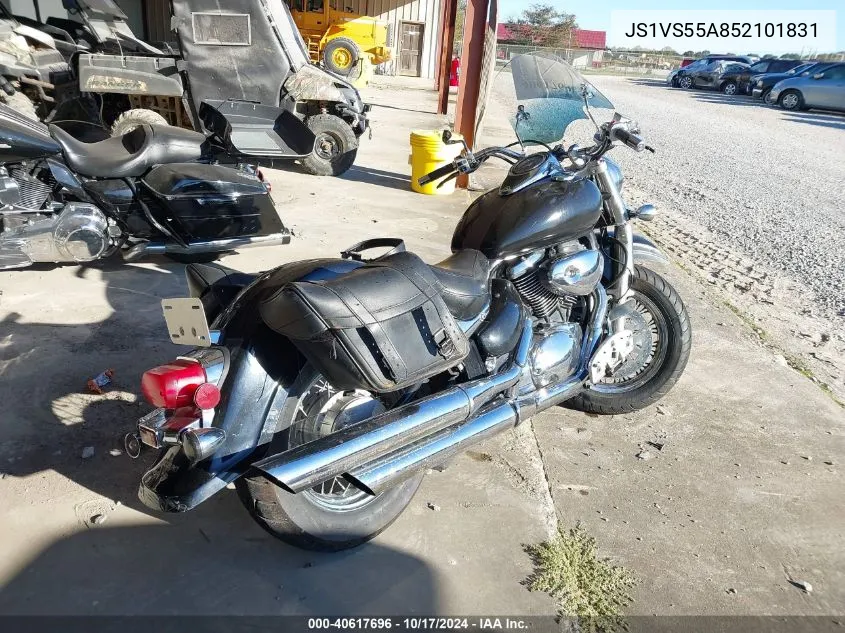 2005 Suzuki C50 VIN: JS1VS55A852101831 Lot: 40617696