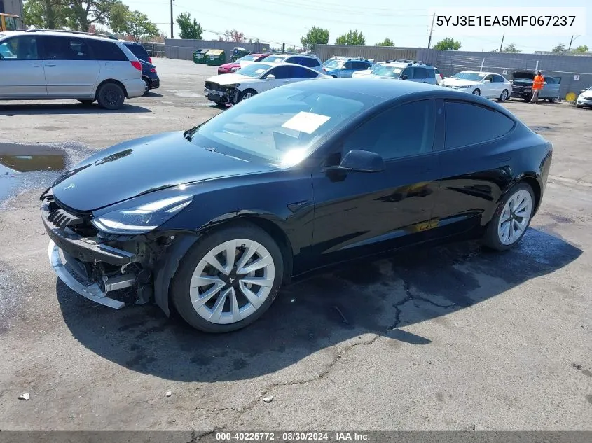 2021 Tesla Model 3 Standard Range Plus Rear-Wheel Drive VIN: 5YJ3E1EA5MF067237 Lot: 40225772