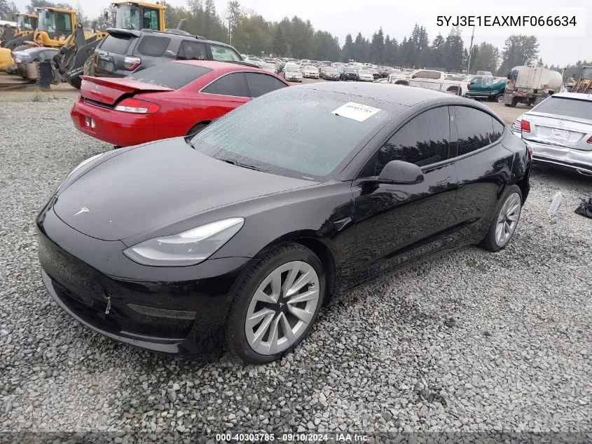 2021 Tesla Model 3 VIN: 5YJ3E1EAXMF066634 Lot: 40303785