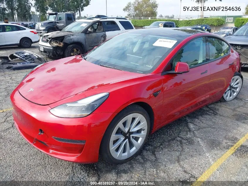 2022 Tesla Model 3 VIN: 5YJ3E1EAXNF254636 Lot: 40389257