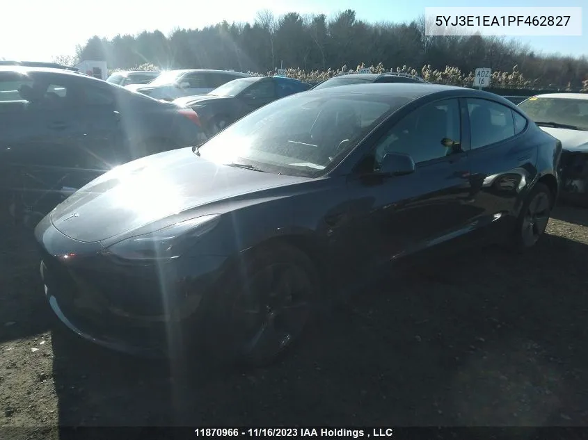 2023 Tesla Model 3 VIN: 5YJ3E1EA1PF462827 Lot: 11870966