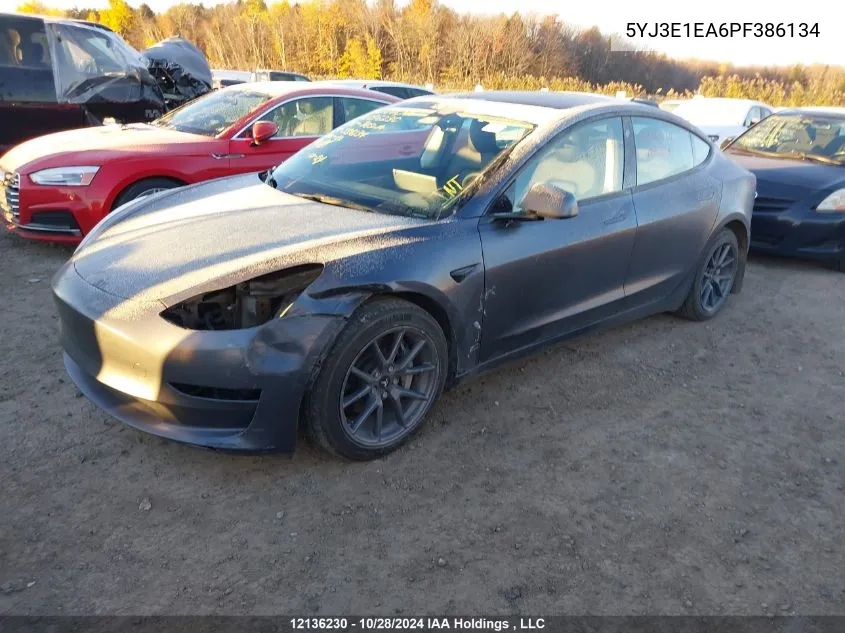 2023 Tesla Model 3 VIN: 5YJ3E1EA6PF386134 Lot: 12136230