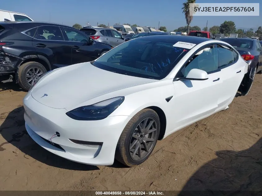 2023 Tesla Model 3 Rear-Wheel Drive VIN: 5YJ3E1EA2PF567604 Lot: 40049858