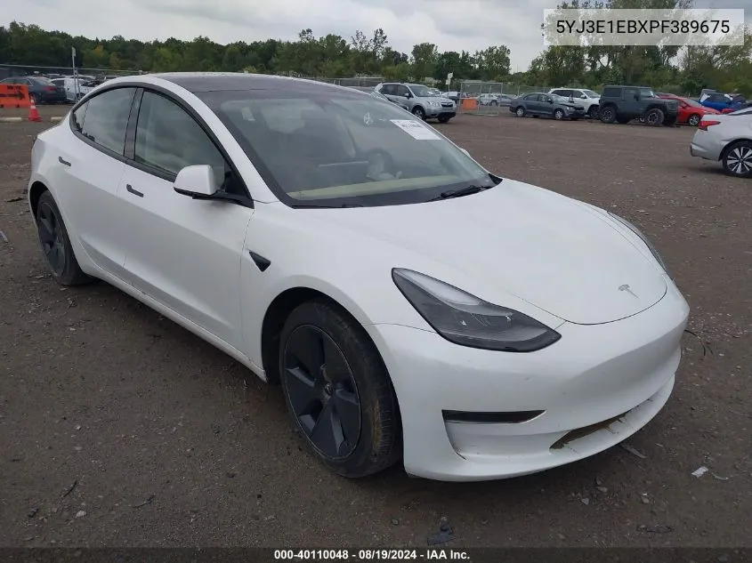 2023 Tesla Model 3 Long Range Dual Motor All-Wheel Drive VIN: 5YJ3E1EBXPF389675 Lot: 40110048