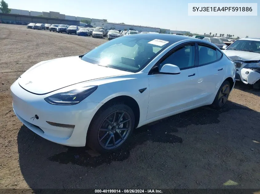 2023 Tesla Model 3 Rear-Wheel Drive VIN: 5YJ3E1EA4PF591886 Lot: 40199014